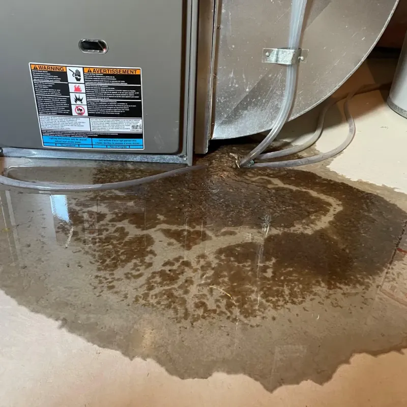 Appliance Leak Cleanup in Siler City, NC